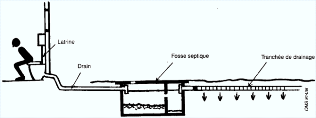 comment nettoyer drain de fosse septique